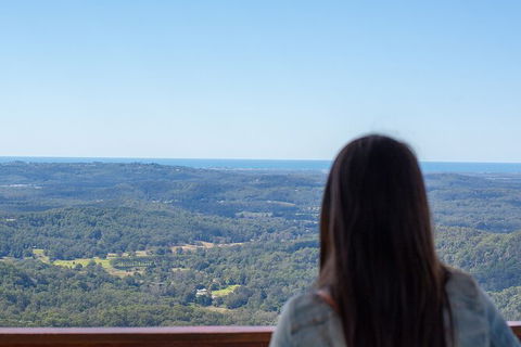 Full-Day Guided Hinterland Adventure Tour In Queensland - Hervey Bay Accommodation 2