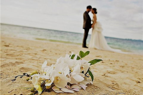 Airport Transfer - Port Douglas To Cairns Airport - Tourism Hervey Bay 1