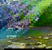 Reef Wildlife  Rainforest - Reef  Beyond Guided Holidays
