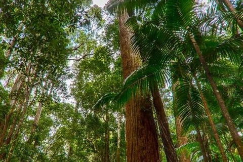 3-Day Fraser Island Hiking And 4WD Adventure From Hervey Bay - Tourism Hervey Bay 1