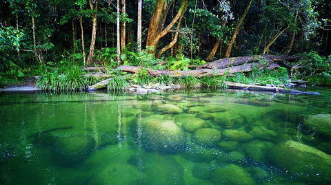 Cairns Adventure Package- 4 Tours In 3 Days! - Hervey Bay Accommodation 6