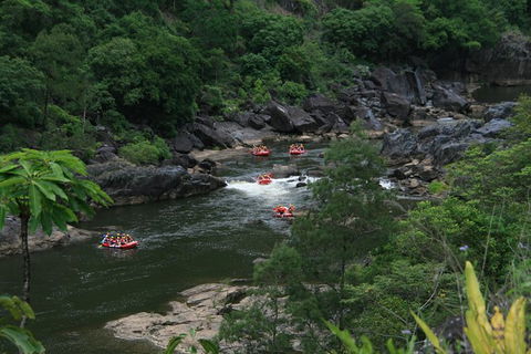 Cairns Adventure Package- 4 Tours In 3 Days! - Hervey Bay Accommodation 3