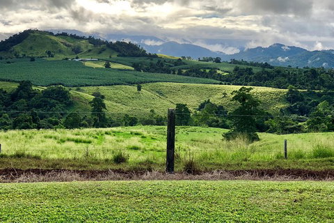 Tableland Tasting Tour - Tourism Hervey Bay 0
