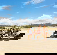 Dingos 2 Day Fraser Island 4x4 Tag Along - Hervey Bay Accommodation