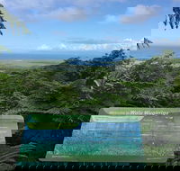 Daintree Luxury Limousine Tour - Full Day - Tourism Hervey Bay