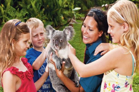 Kuranda Day Tour + HotAir Balloon Combo - Tourism Hervey Bay 9