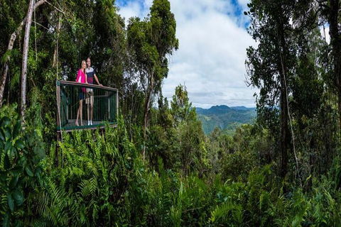Kuranda Day Tour + HotAir Balloon Combo - Tourism Hervey Bay 6