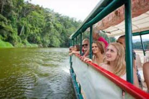 Kuranda Day Tour + HotAir Balloon Combo - Tourism Hervey Bay 13