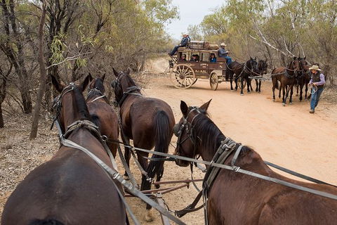 Cobb And Co Stagecoach Experience - Hervey Bay Accommodation 1