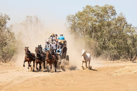 Cobb And Co Stagecoach Experience - Hervey Bay Accommodation 0