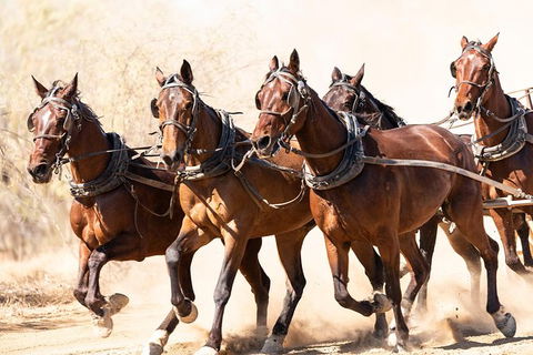 Cobb And Co Stagecoach Experience - Hervey Bay Accommodation 2