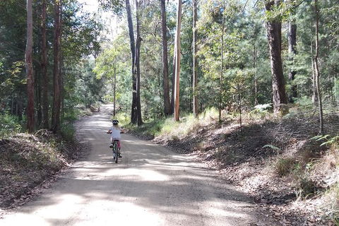 Noosa Hinterland Scenic Canoe & FAT Bike Tour - Hervey Bay Accommodation 4