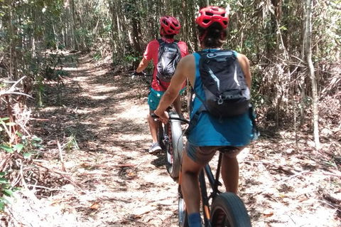 Noosa Hinterland Scenic Canoe & FAT Bike Tour - Hervey Bay Accommodation 3