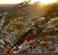 Sunset Abseiling with panoramic views of Noosa's Hinterland and Sunshine Coast