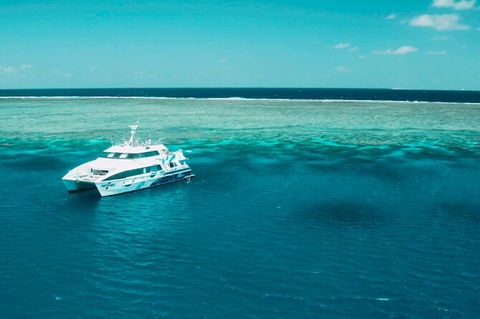 Australia East Coast: End Of Semester - Hervey Bay Accommodation 1