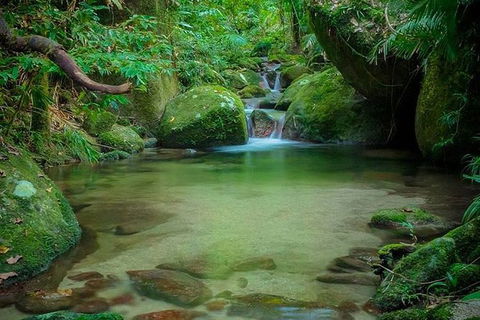 SHUTTLE - Mossman Gorge & Cooya Beach From Port Douglas (Return Transfer) - Tourism Hervey Bay 2