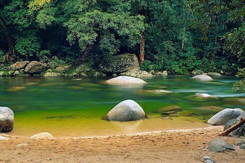 SHUTTLE - Mossman Gorge & Cooya Beach From Port Douglas (Return Transfer) - Tourism Hervey Bay 1