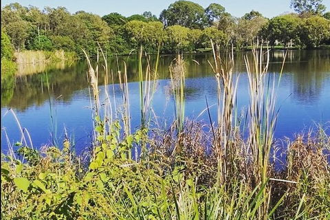 Wang\'ari Dreaming Bush Tucker Tour - Hervey Bay Accommodation 3