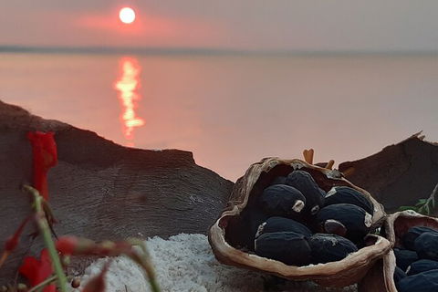 Wang\'ari Dreaming Bush Tucker Tour - Hervey Bay Accommodation 1