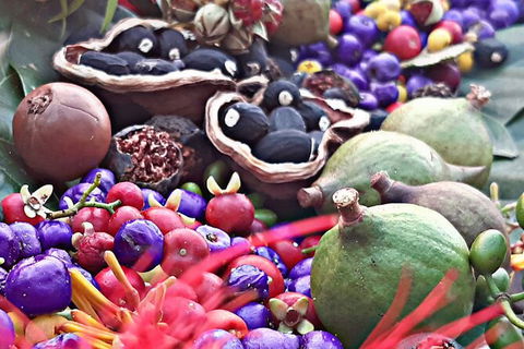 Wang\'ari Dreaming Bush Tucker Tour - Hervey Bay Accommodation 0