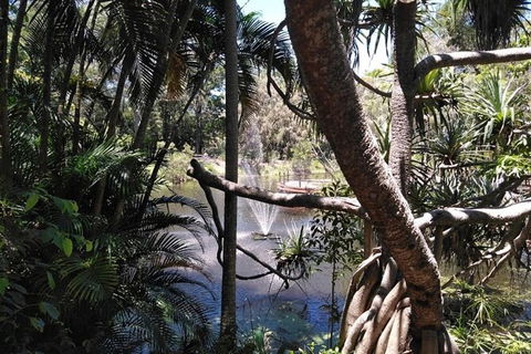 Wang\'ari Dreaming Bush Tucker Tour - Hervey Bay Accommodation 4