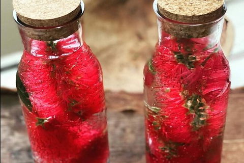 Wang\'ari Dreaming Bush Tucker Tour - Hervey Bay Accommodation 6