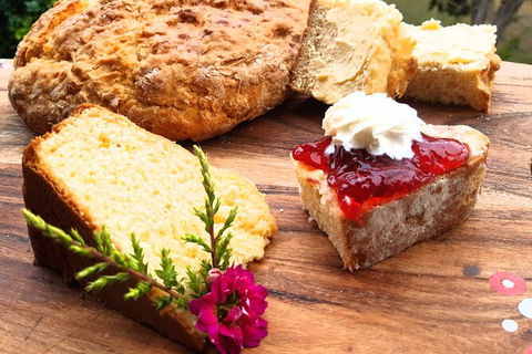 Wang\'ari Dreaming Bush Tucker Tour - Hervey Bay Accommodation 10