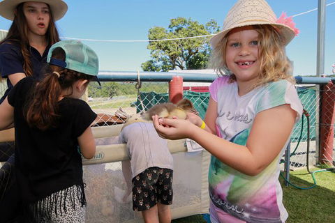 Horse And ATV Riding With A Visit To A Petting Zoo From Cairns - Hervey Bay Accommodation 2