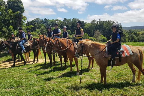 Horse And ATV Riding With A Visit To A Petting Zoo From Cairns - Hervey Bay Accommodation 1