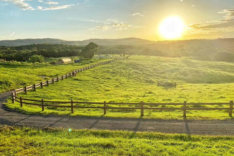 Horse And ATV Riding With A Visit To A Petting Zoo From Cairns - Hervey Bay Accommodation 6