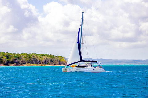 5 Night Bareboat Onboard Cattitude - Hervey Bay Accommodation 0