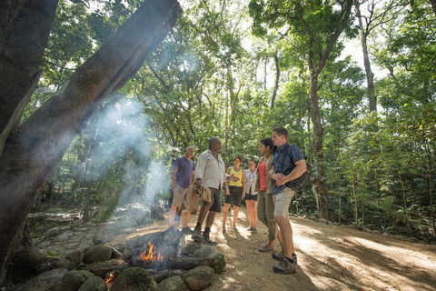 Mossman Gorge Adventure Day - Tourism Hervey Bay 2