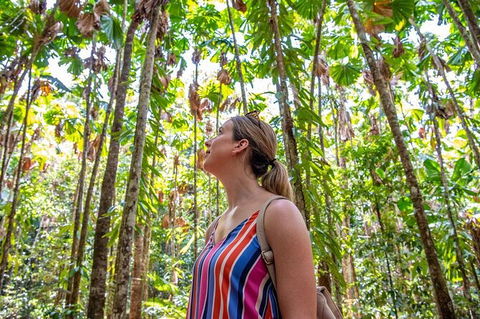 5 Day Australia Retreat: Queensland Daintree - Tourism Hervey Bay 3
