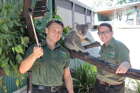 Virtual Interactive Australian Wildlife Tour With Private Guide-Wildlife Habitat - Hervey Bay Accommodation 4