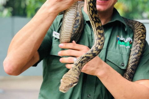 Virtual Interactive Australian Wildlife Tour With Private Guide-Wildlife Habitat - Hervey Bay Accommodation 3