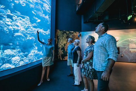 Cairns Aquarium By Twilight With 3 Course Dinner - Tourism Hervey Bay 0