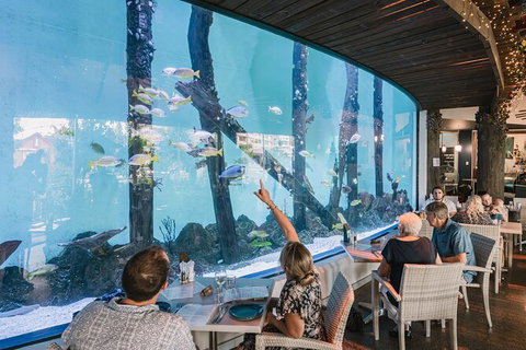 Cairns Aquarium By Twilight With 3 Course Dinner - Tourism Hervey Bay 1