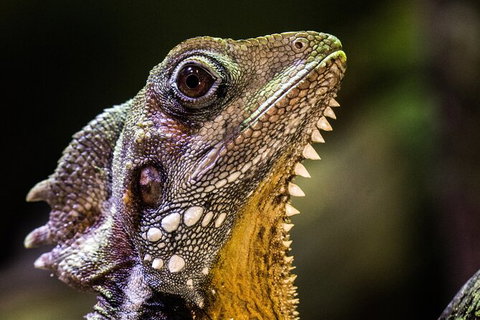 Cairns Aquarium By Twilight With 3 Course Dinner - Tourism Hervey Bay 5