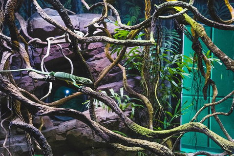 Cairns Aquarium By Twilight With 3 Course Dinner - Tourism Hervey Bay 8