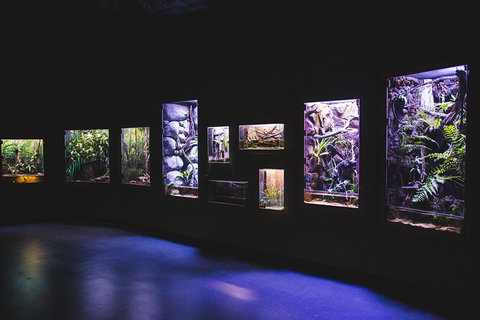 Cairns Aquarium By Twilight With 3 Course Dinner - Tourism Hervey Bay 3