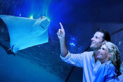 Cairns Aquarium Tour By Twilight With Drink And Appetiser - Hervey Bay Accommodation 0