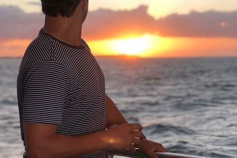 Sunset Twilight Cruise In Hervey Bay - Tourism Hervey Bay 3