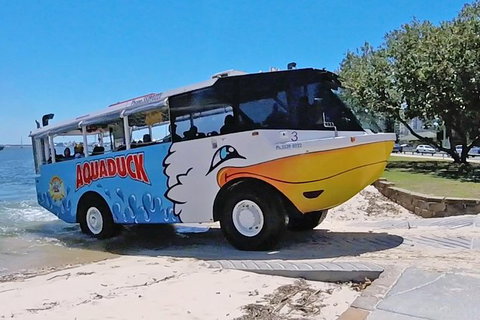 Aquaduck Gold Coast & IFLY - Hervey Bay Accommodation 0