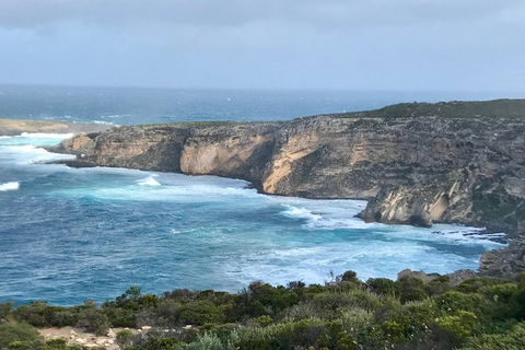 Kangaroo Island Scenic Trail Tour - Tourism Hervey Bay 4
