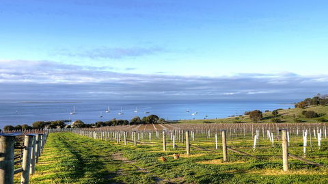 Kangaroo Island Gourmet Food And Wine Trail Tour - Tourism Hervey Bay 3
