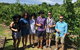 Adelaide Hills And Hahndorf Half Day - thumb 0