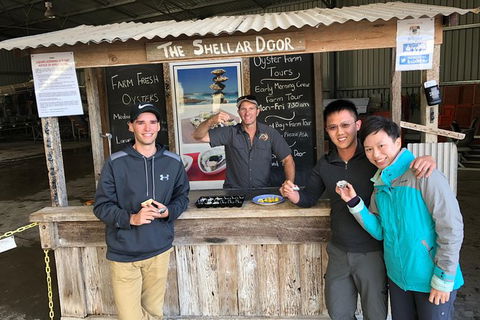 Coffin Bay Oysters, Ocean & Nature Tour - Hervey Bay Accommodation 13