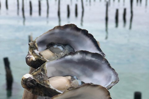 Coffin Bay Oysters, Ocean & Nature Tour - Hervey Bay Accommodation 6