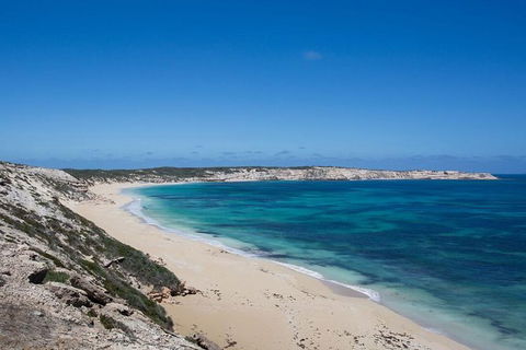 Coffin Bay Oysters, Ocean & Nature Tour - Hervey Bay Accommodation 16