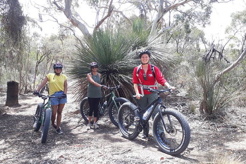 Kangaroo Island 2 Hour Bike Tour - Tourism Hervey Bay 5